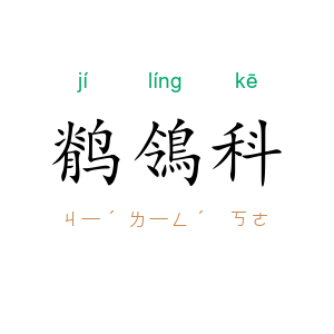 鹡鴒科
