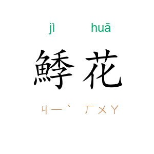 鯚花