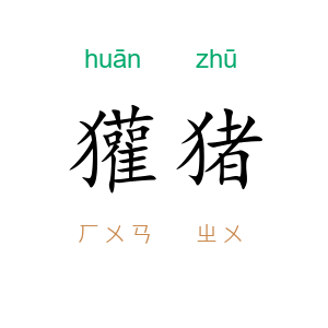 獾猪