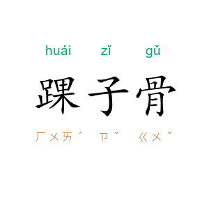 踝子骨