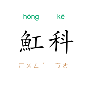 魟科