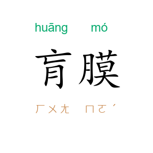 肓膜