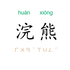 浣熊