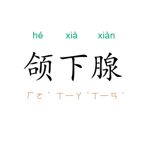 颌下腺
