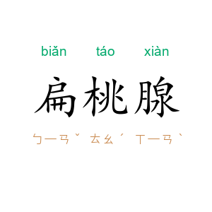 扁桃腺