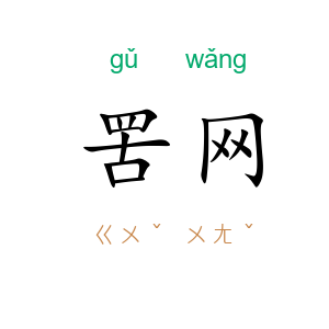 罟网
