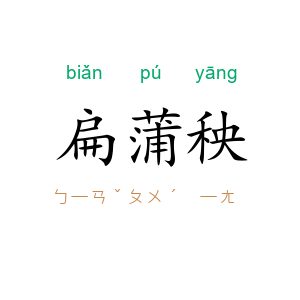 扁蒲秧