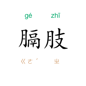 膈肢
