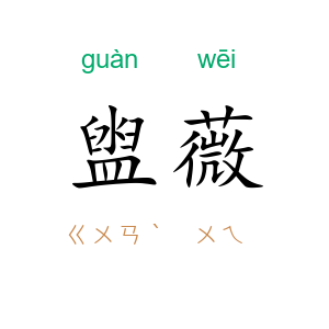 盥薇