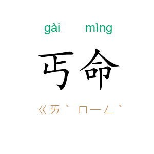 丐命