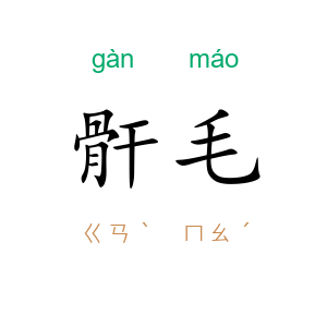 骭毛