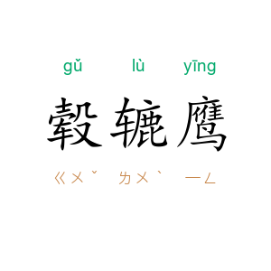 毂辘鹰