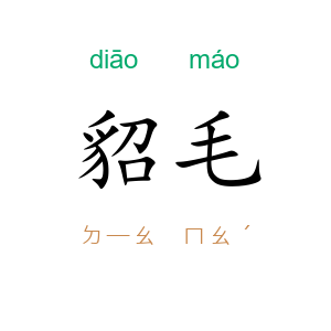 貂毛