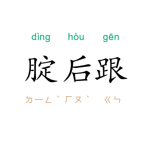 腚后跟