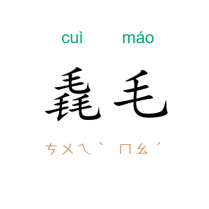 毳毛
