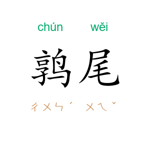 鹑尾