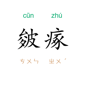 皴瘃
