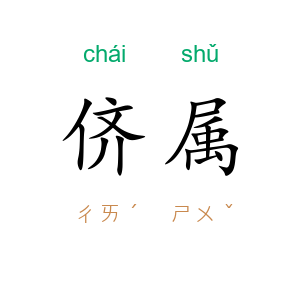 侪属