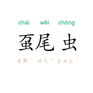 虿尾虫