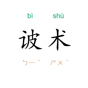 诐术