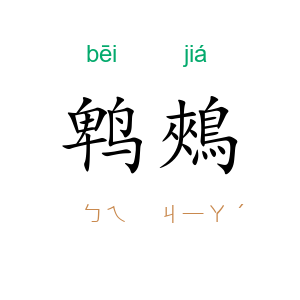 鹎鵊