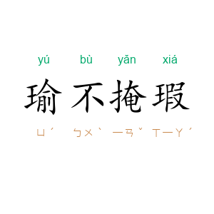 瑜不掩瑕