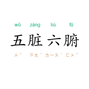 五脏六腑