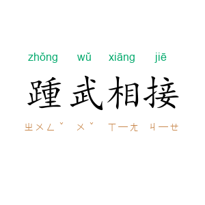 踵武相接