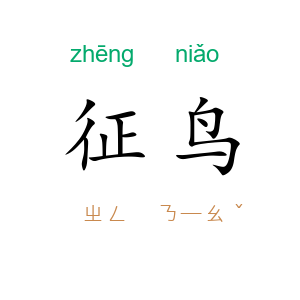 征鸟