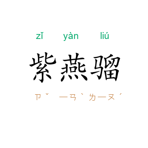 紫燕骝