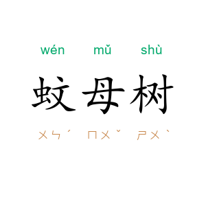 蚊母树