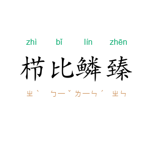 栉比鳞臻