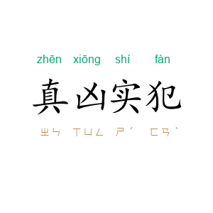 真凶实犯