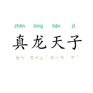 真龙天子