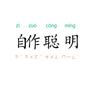 自作聪明