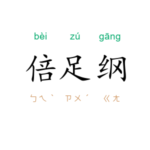 倍足纲