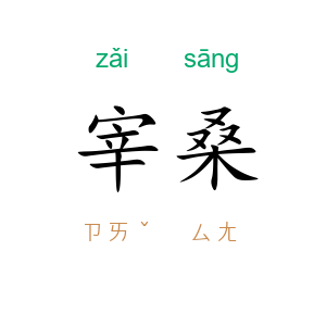 宰桑