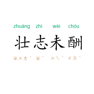 壮志未酬