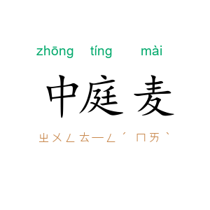 中庭麦