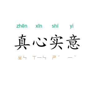 真心实意
