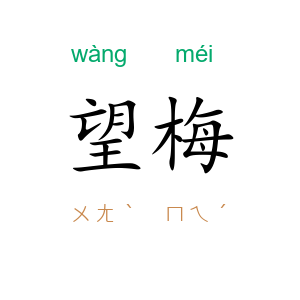 望梅