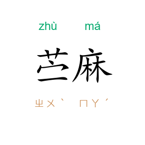 苎麻