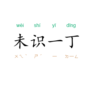 未识一丁