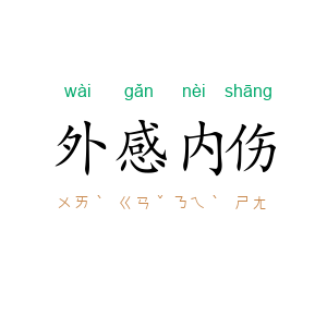 外感内伤