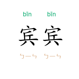 宾宾