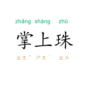 掌上珠