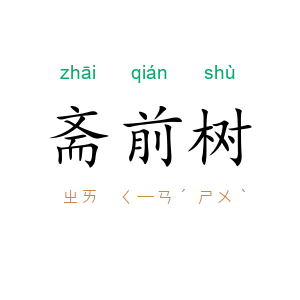 斋前树