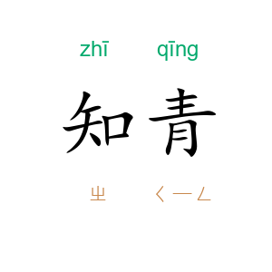 知青