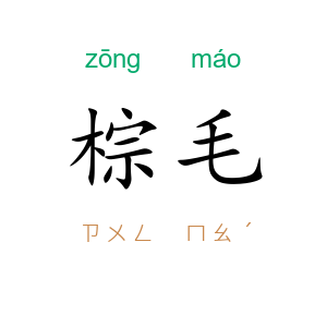 棕毛