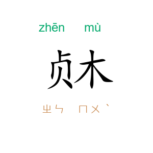 贞木